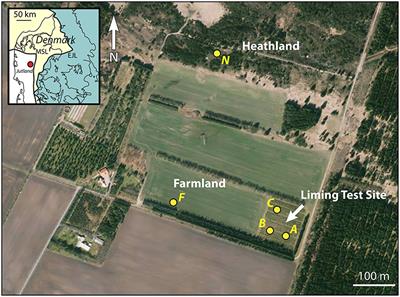 Strontium Is Released Rapidly From Agricultural Lime–Implications for Provenance and Migration Studies